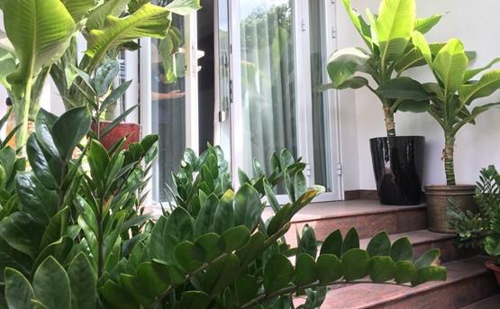 House for rent in district 2 D2300824 (13)